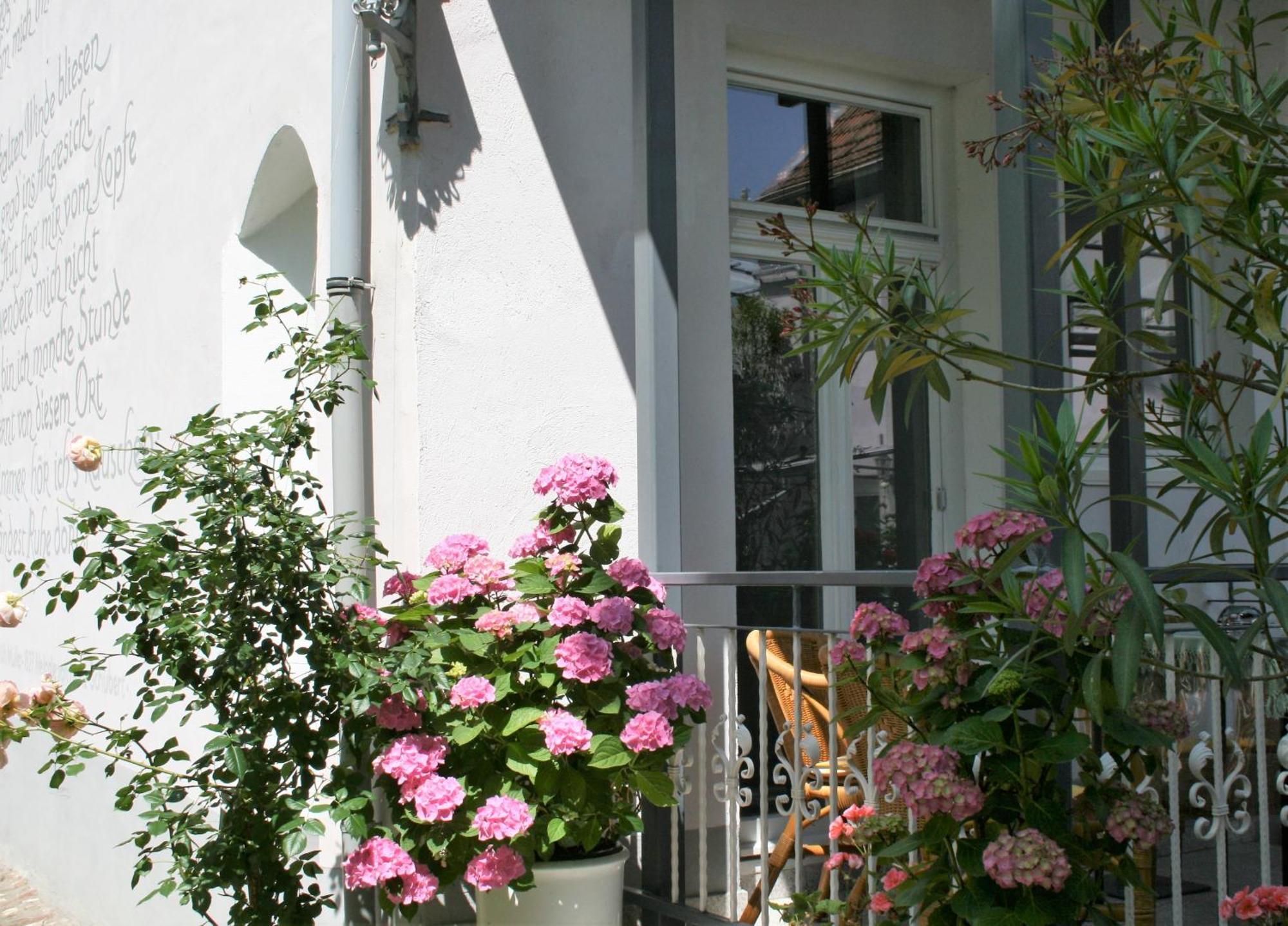 Herrenhof วอร์มส์ ภายนอก รูปภาพ