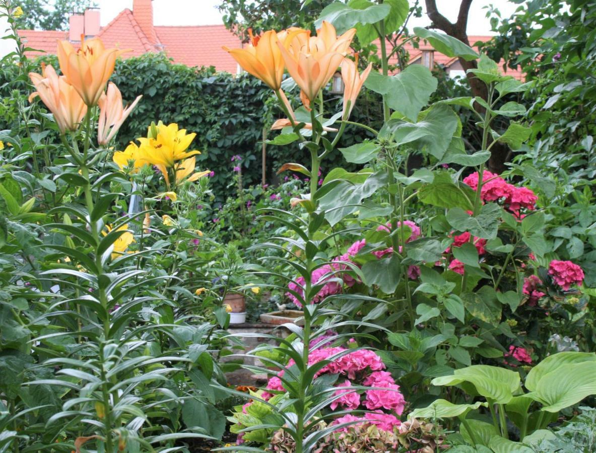 Herrenhof วอร์มส์ ภายนอก รูปภาพ